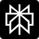 Perplexity AI 圖示